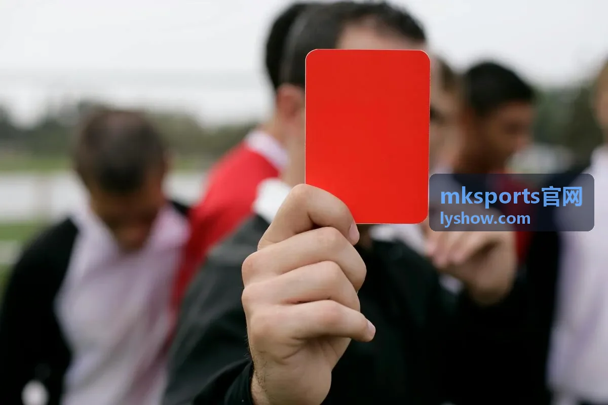 MKSPORTS官网 运动装备选型与器材清单展示